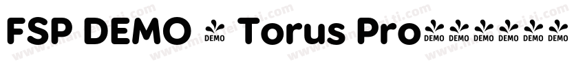FSP DEMO - Torus Pro字体转换